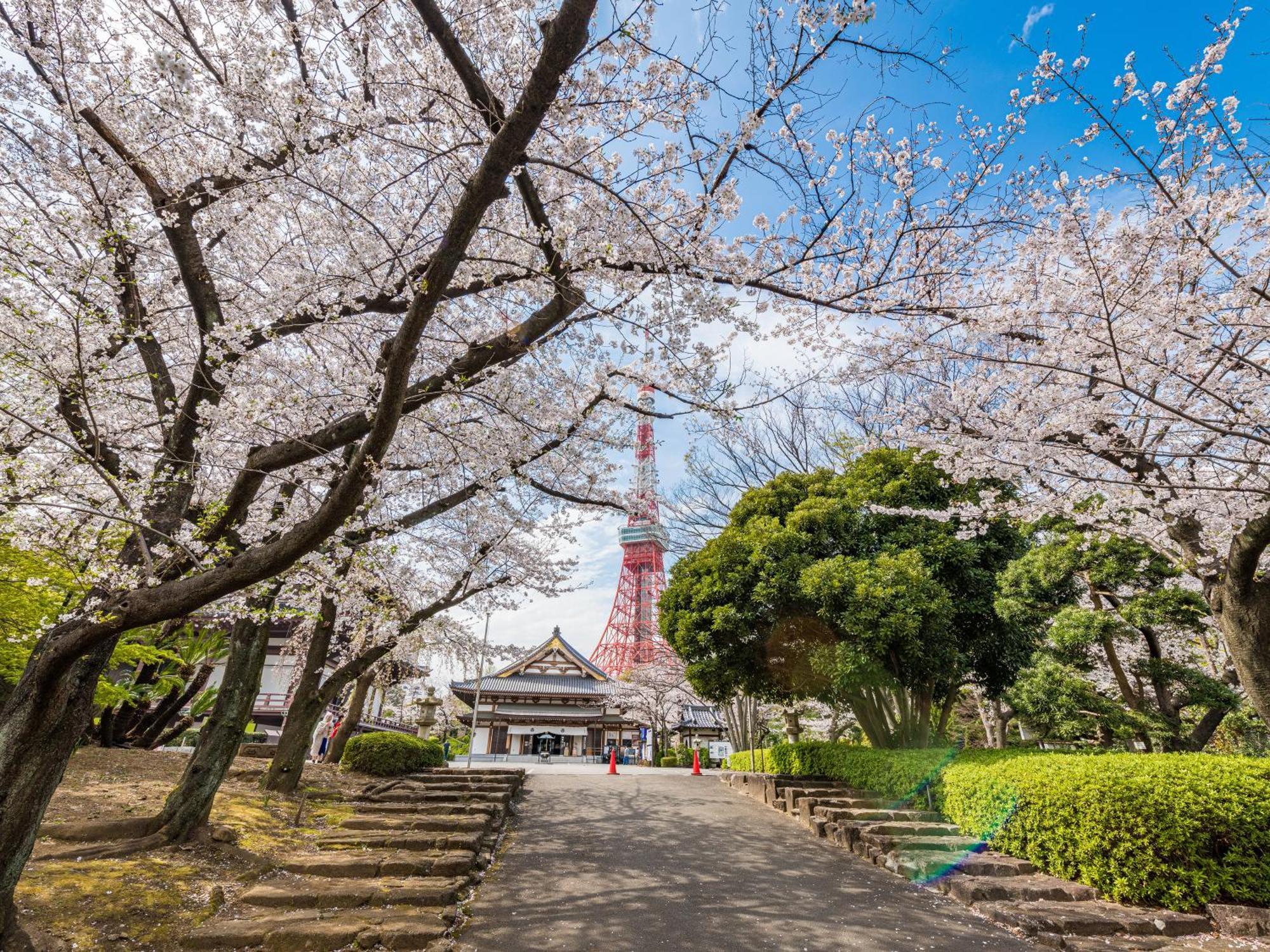 Отель Illi Rom Hamamatsucho Токио Экстерьер фото